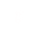 Irish Terrier