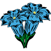 Enzian, Bergblumen, Berge