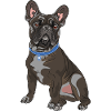 French Bulldog Gift Dogs