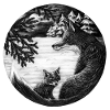 Foxe's white border