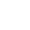 Big Brother