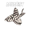 Akvarist akvariefisk