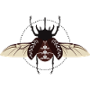 beetles