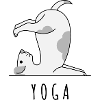 YOGA funny dog