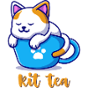 Chat