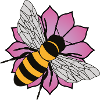 Honey bee - Pink flower