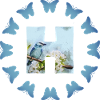 flowers blue bird h