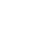 Flower Flower white