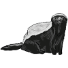 Honey Badger