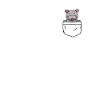 Hippo in your pocket