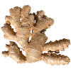 Ginger
