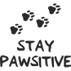 Stay PAWsitive