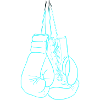 Boxing gloves