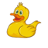 Bathing duck
