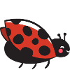 Marienkäfer