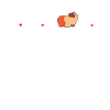 guinea pig