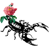 Scorpio Rose