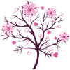 Cherry Blossom Blossoms Sakura Spring