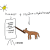 Hyänekonzept
