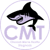 CMT LOGO