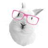 with pink glasses