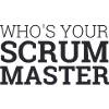 "Scrum Master" |
