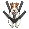 Foxterrier chien en pochette