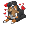 Berner Sennenhund avec des cœurs