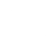 Landseer - Landseer Dog