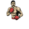 Boxing boxing boxer