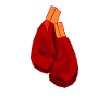 Boxing boxing boxer