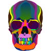Rainbowskull, New