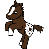 Appaloosa