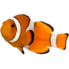 Poisson