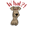 Funny dog with What ? ! Saying