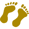 Foot print