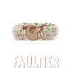 Faultier