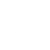 Deutsch Kurzhaar vorstehend