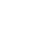NK Natural Killer