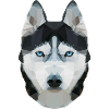 husky