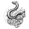 Geometric Boa by Reptisell