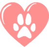 Cane cuore zampa cane amore zampa
