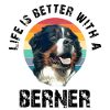 Bernese mountain dog