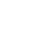 Kromfohrländer Dog - Kromfohrländer