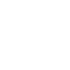 Jagdterrier - Deutscher Jagdterrier