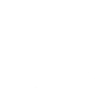 Airedale Terrier Dog - Airedale Terrier