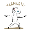 llamaste