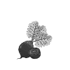 1800000000000000