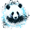 Panda,ours panda,ours, Graffiti, Peinture