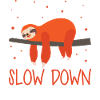 Sloth Slow Down